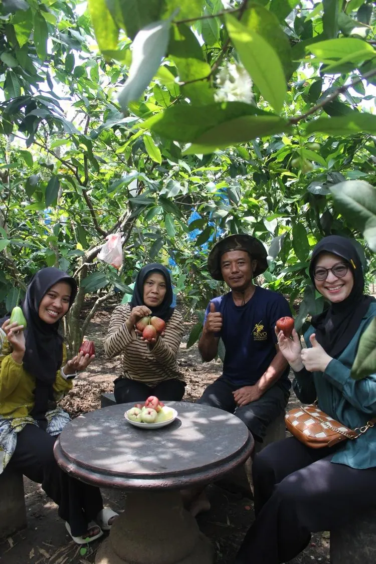 Di Kebun Jambu