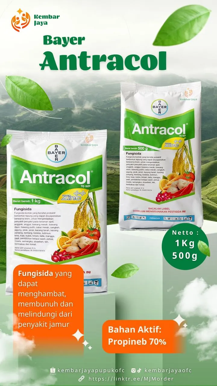 Kemasan Bayer Antracol, Propineb 70%