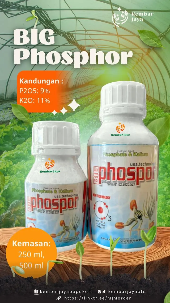 Kemasan Big Phosphor, P2O5 9%