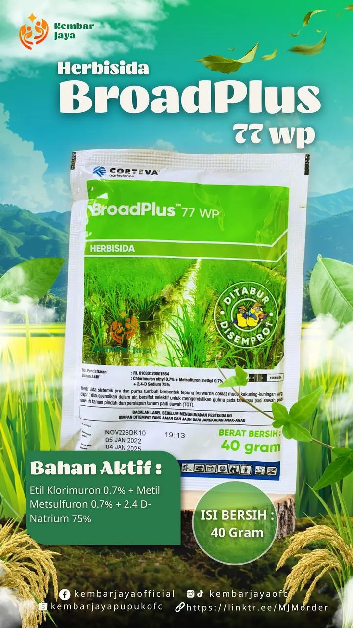 Kemasan BroadPlus 77 WP, Etil klorimuron 0,7% + metil metsulfuron 0,7% + 2,4 D-Natrium 75%