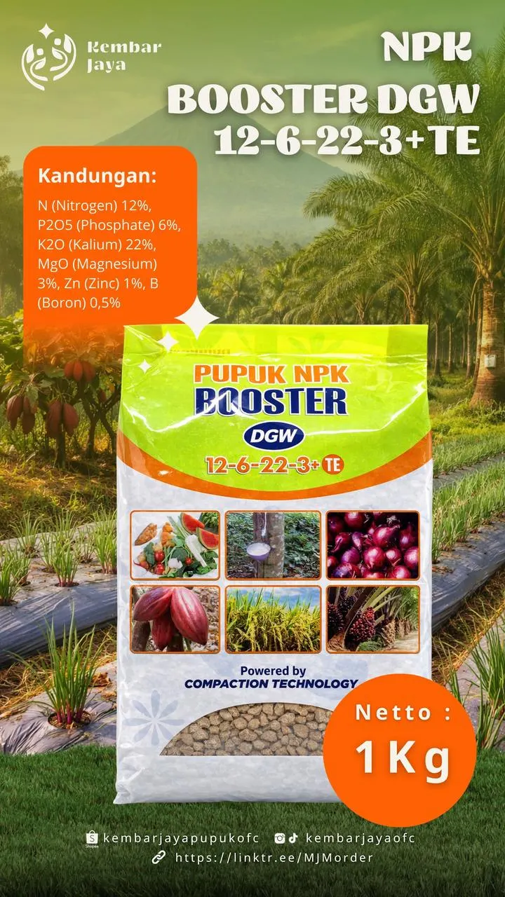 Kemasan NPK DGW Booster 12-6-22-3+TE, Nitrogen 12%, P2O5 6%, K2O 22%, MgO 3%, Zn 1%
