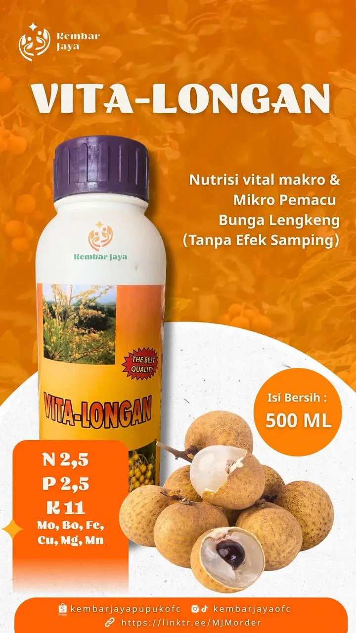 Kemasan Vita-Longan, Nutrisi vital makro & mikro pemacu